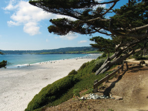 The beautiful white sands of Carmel Beach