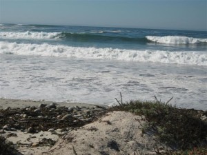 Spanish Bay Beach 