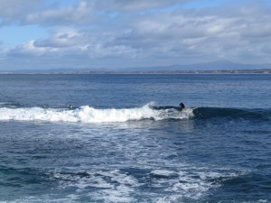 Surfing off Lover's Point, Pacific Grove, CA