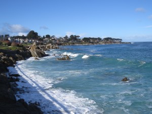 Pacific Grove coastline