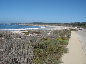 Spanish Bay Beach