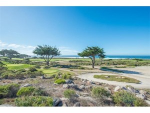 Monterey Peninsula Shore course