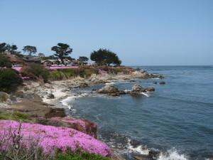 Spring time Pacific Grove coast