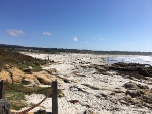 Asilomar State Beach