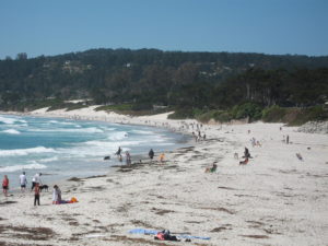 Carmel Beach