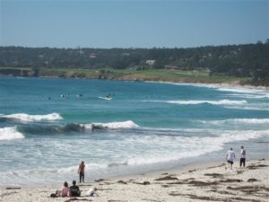 Surfers on Carmel Beach