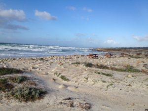 Spanish Bay beach in Pebble Beach