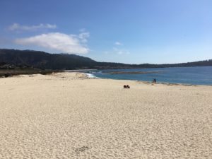 Carrmel River State Beach