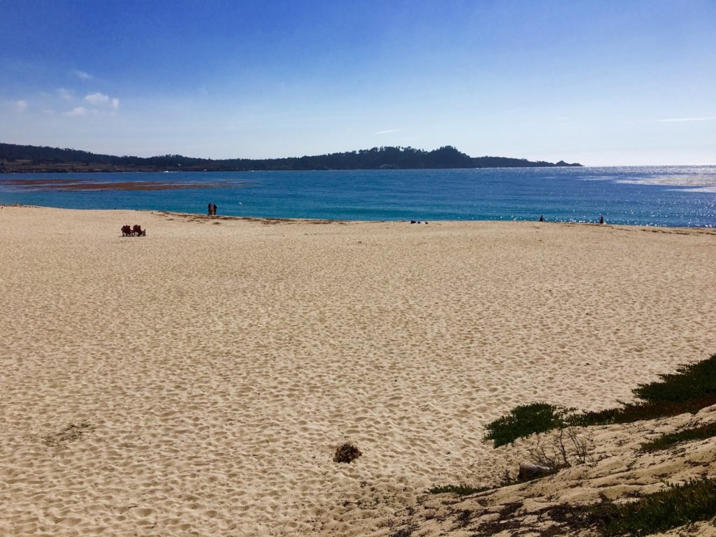 Carmel River State Beach